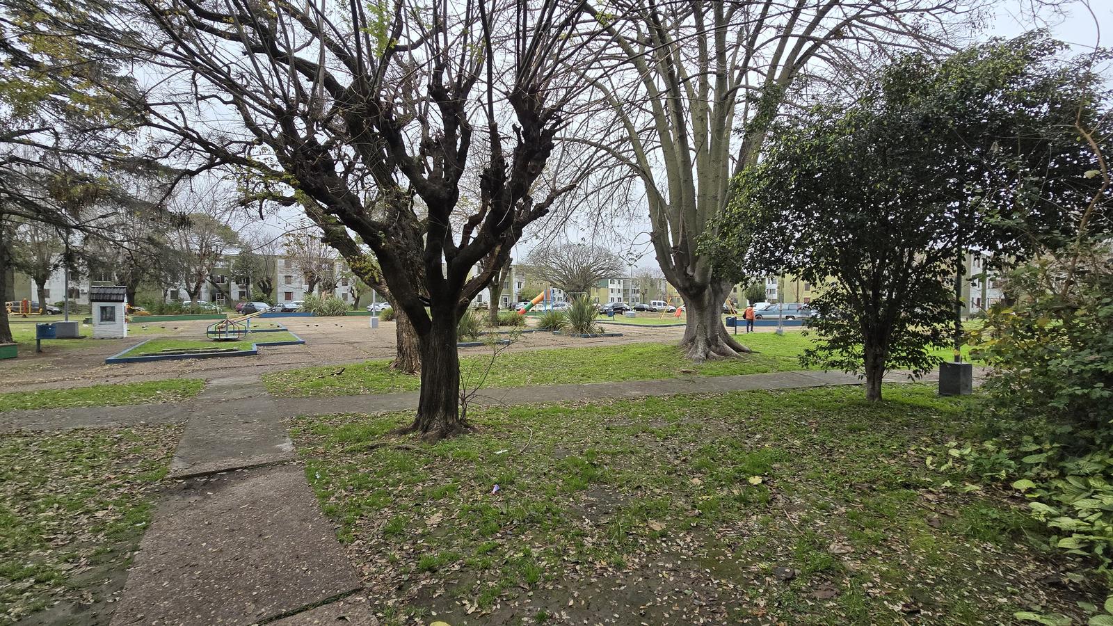 image 31