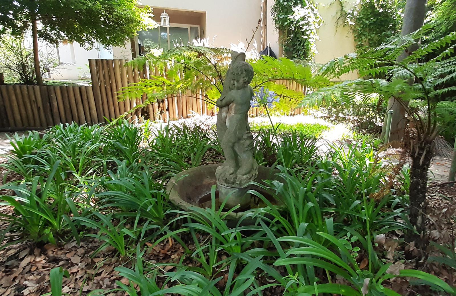 image 38
