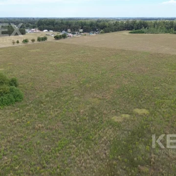 VENTA CAMPO en Lima Zarate - Posibilidad de desarrollo urbano o rural