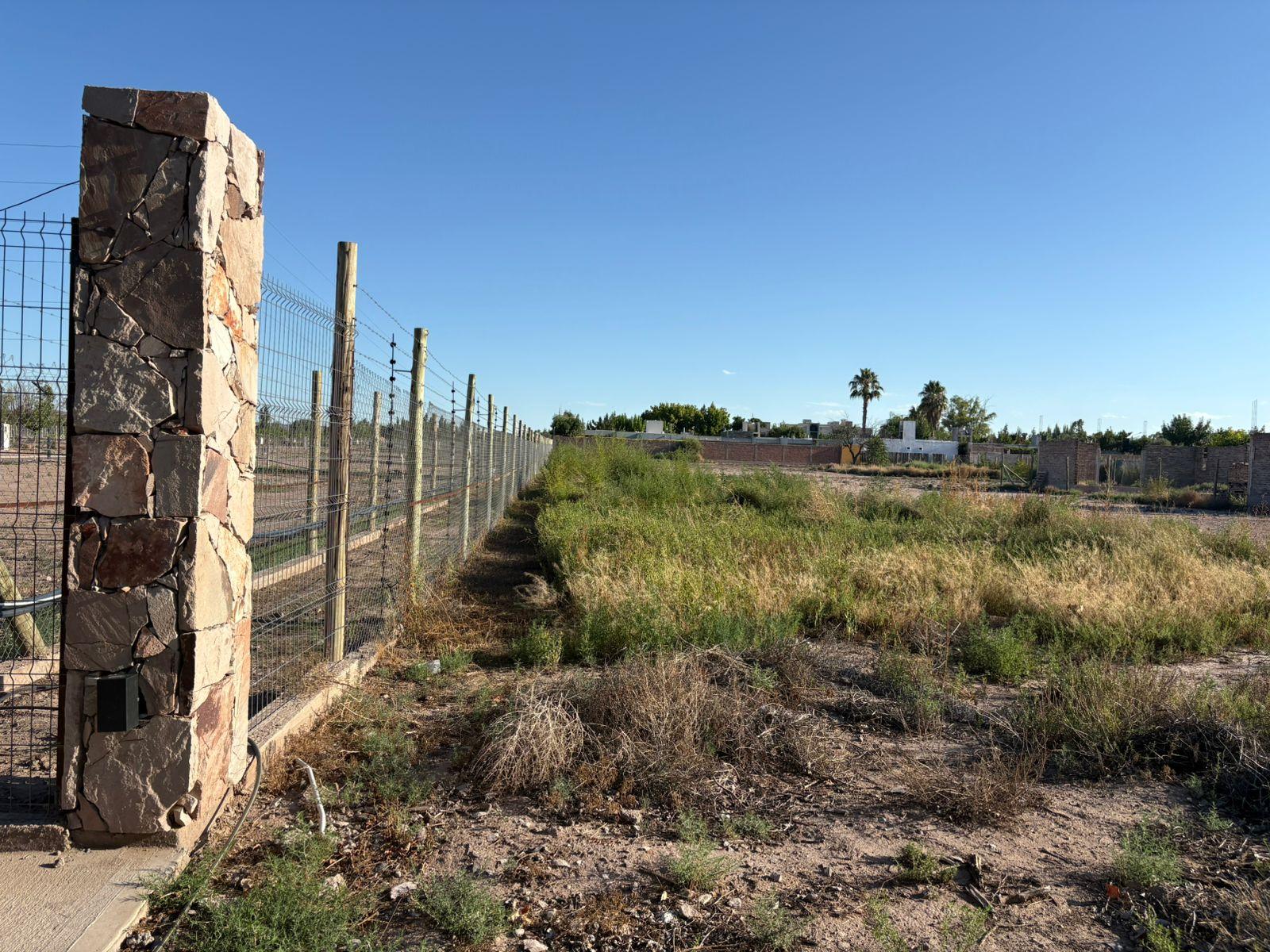 Terreno en venta en calle Los Peralitos - Principal