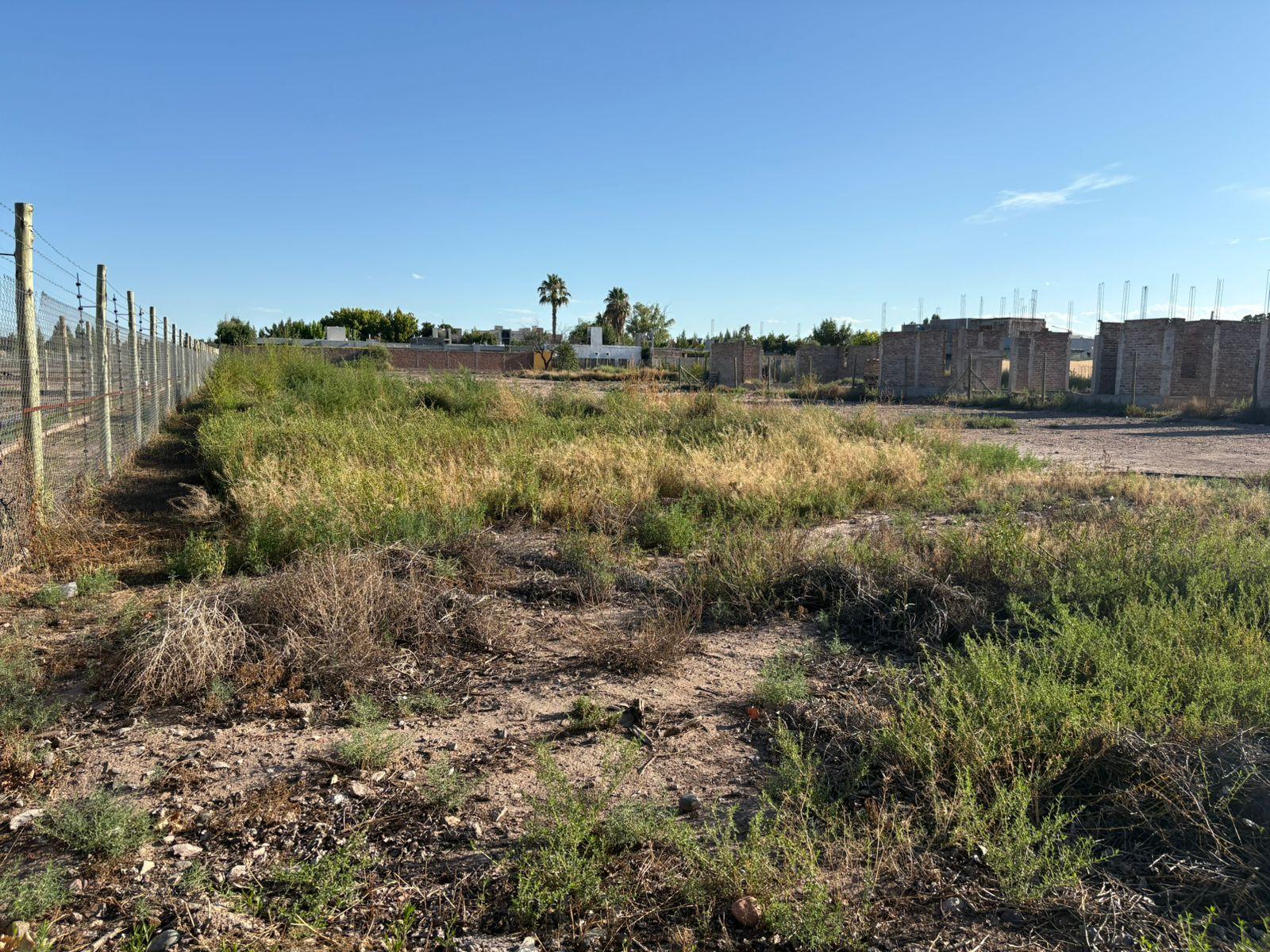 Terreno en venta en calle Los Peralitos - 2