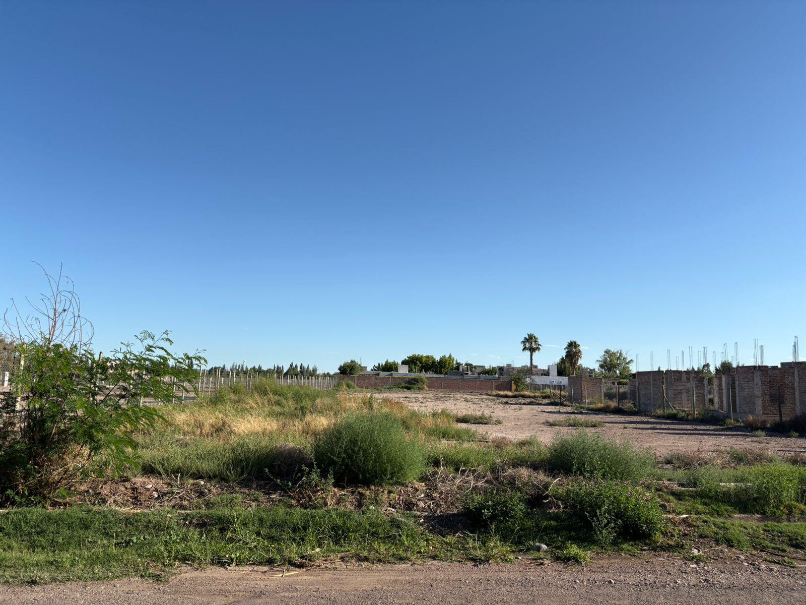 Terreno en venta en calle Los Peralitos - 3
