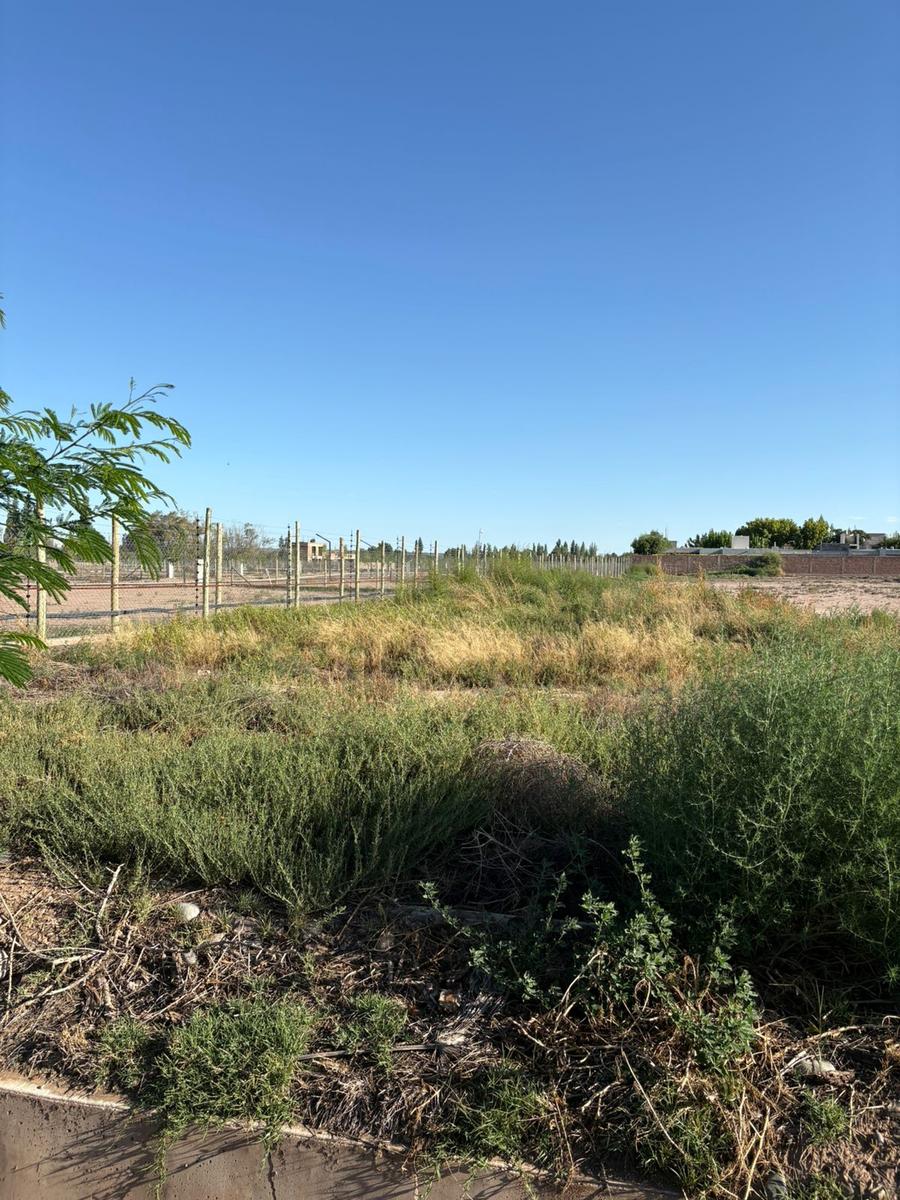 Terreno en venta en calle Los Peralitos - 4