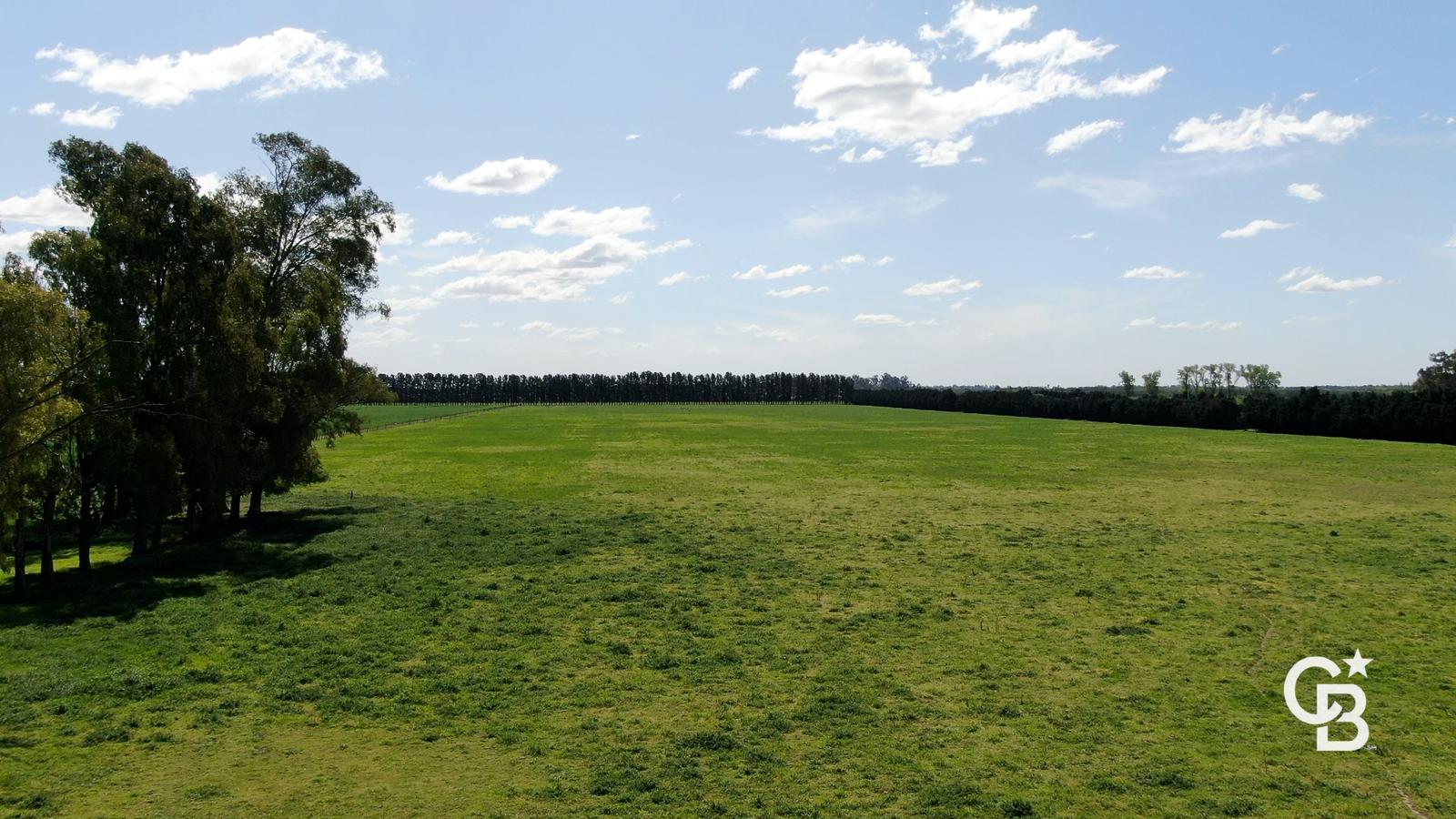 image 14