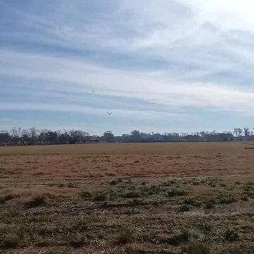 Terreno en Tilbury, Pilara. Vista a cabecera cancha de Polo