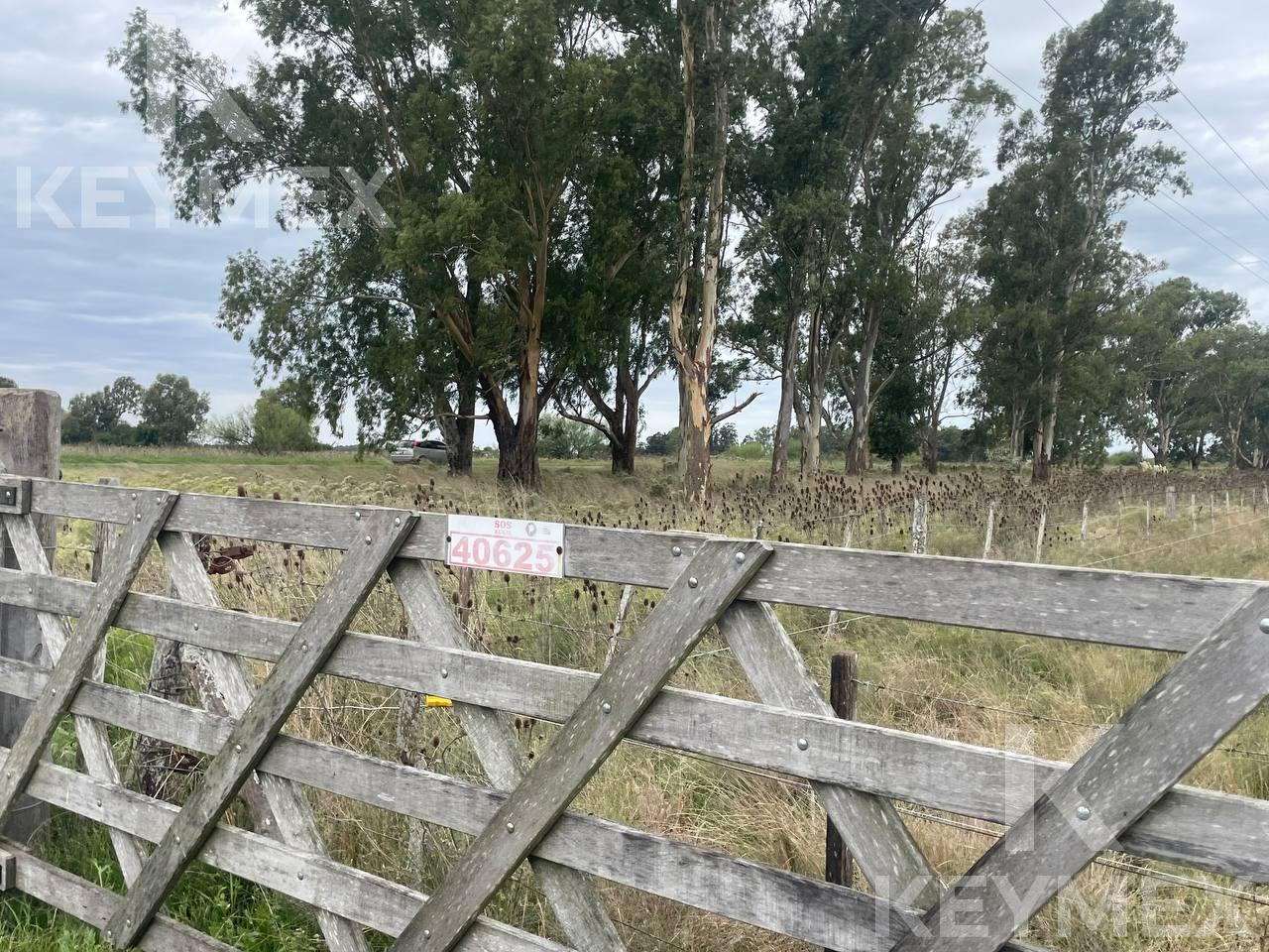 image 18