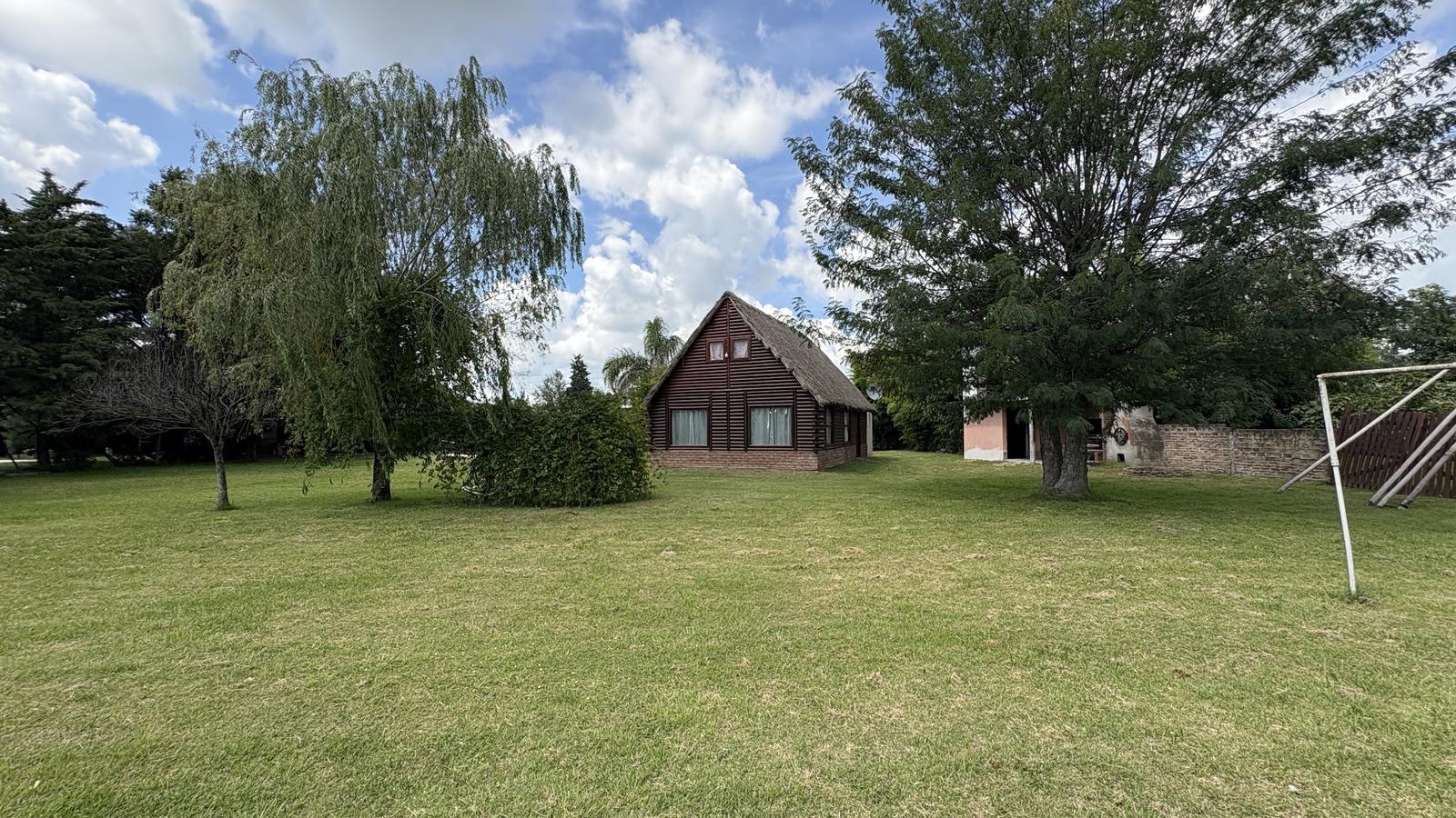 image 28
