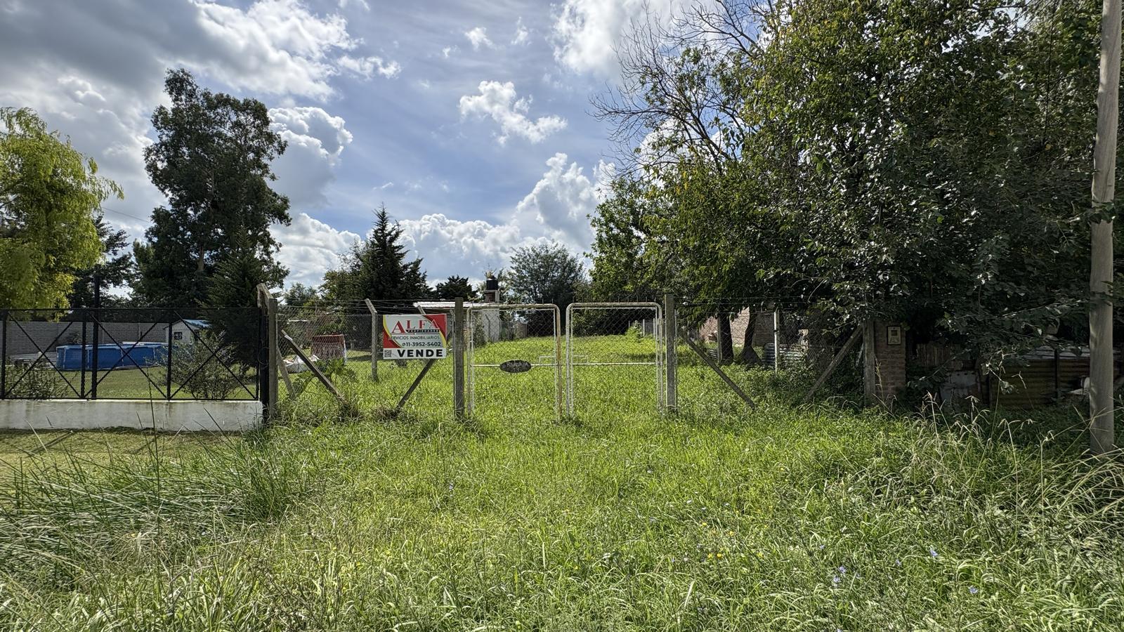 image 29