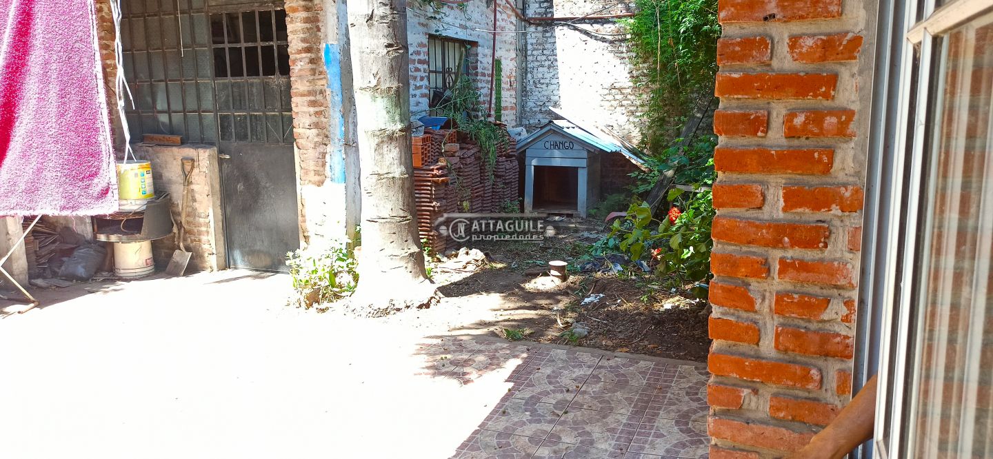 image 15