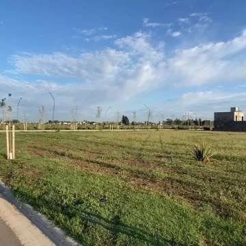 1772118764.jpg