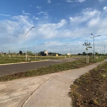 1772118764.jpg
