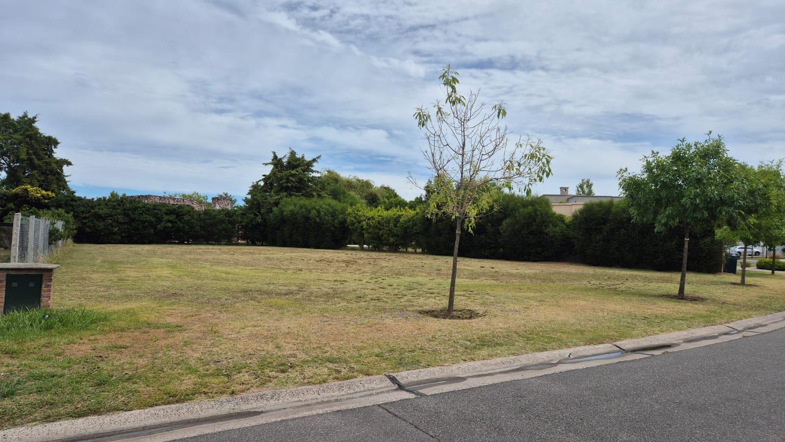 Lote Interno con Plano Aprobado en San Francisco - Villanueva - Principal