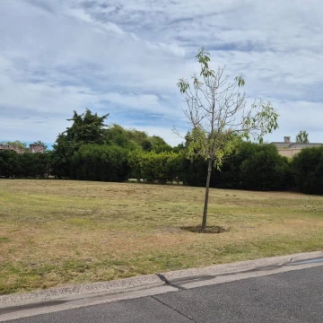 Lote Interno con Plano Aprobado en San Francisco - Villanueva