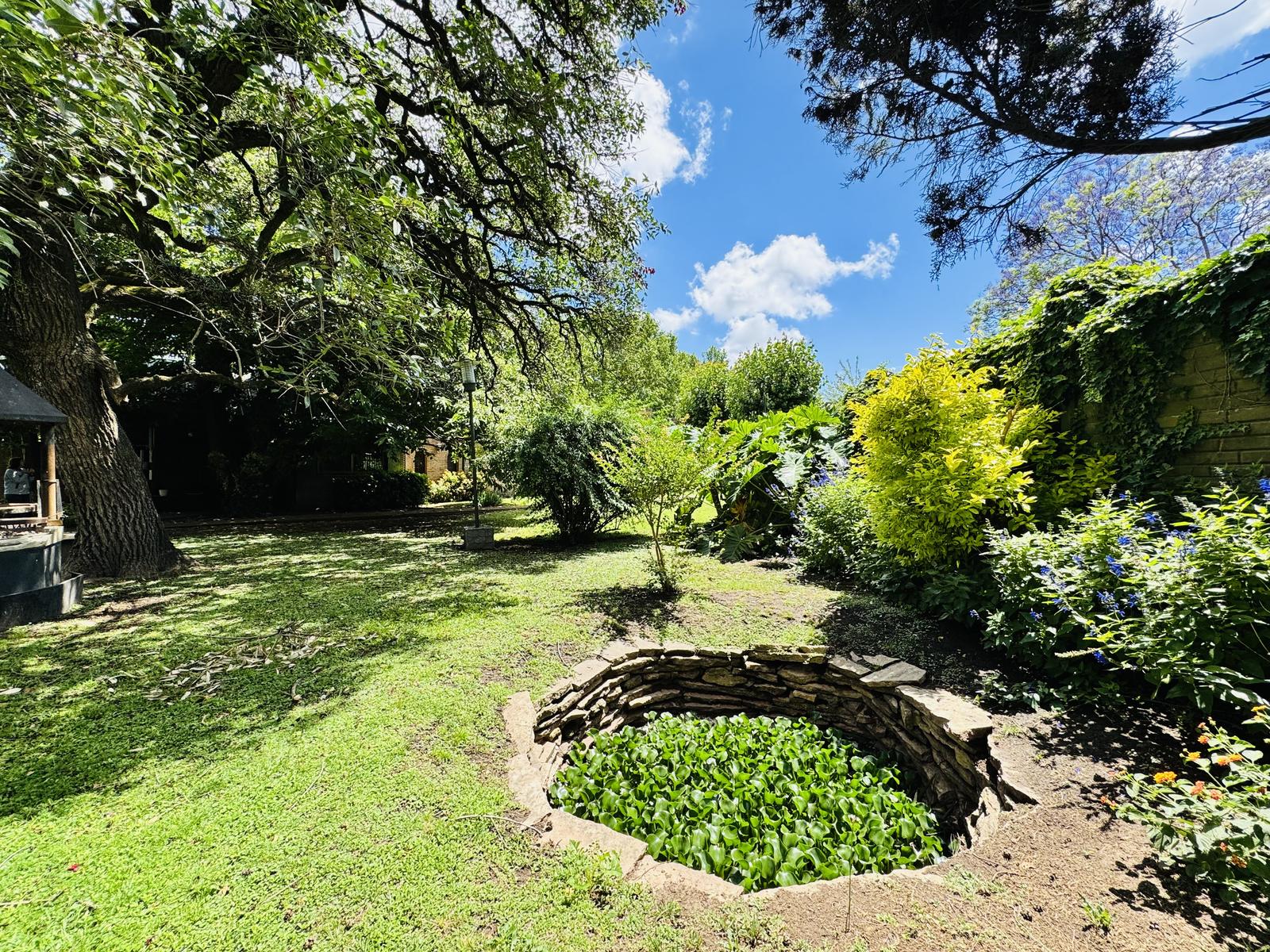 image 28