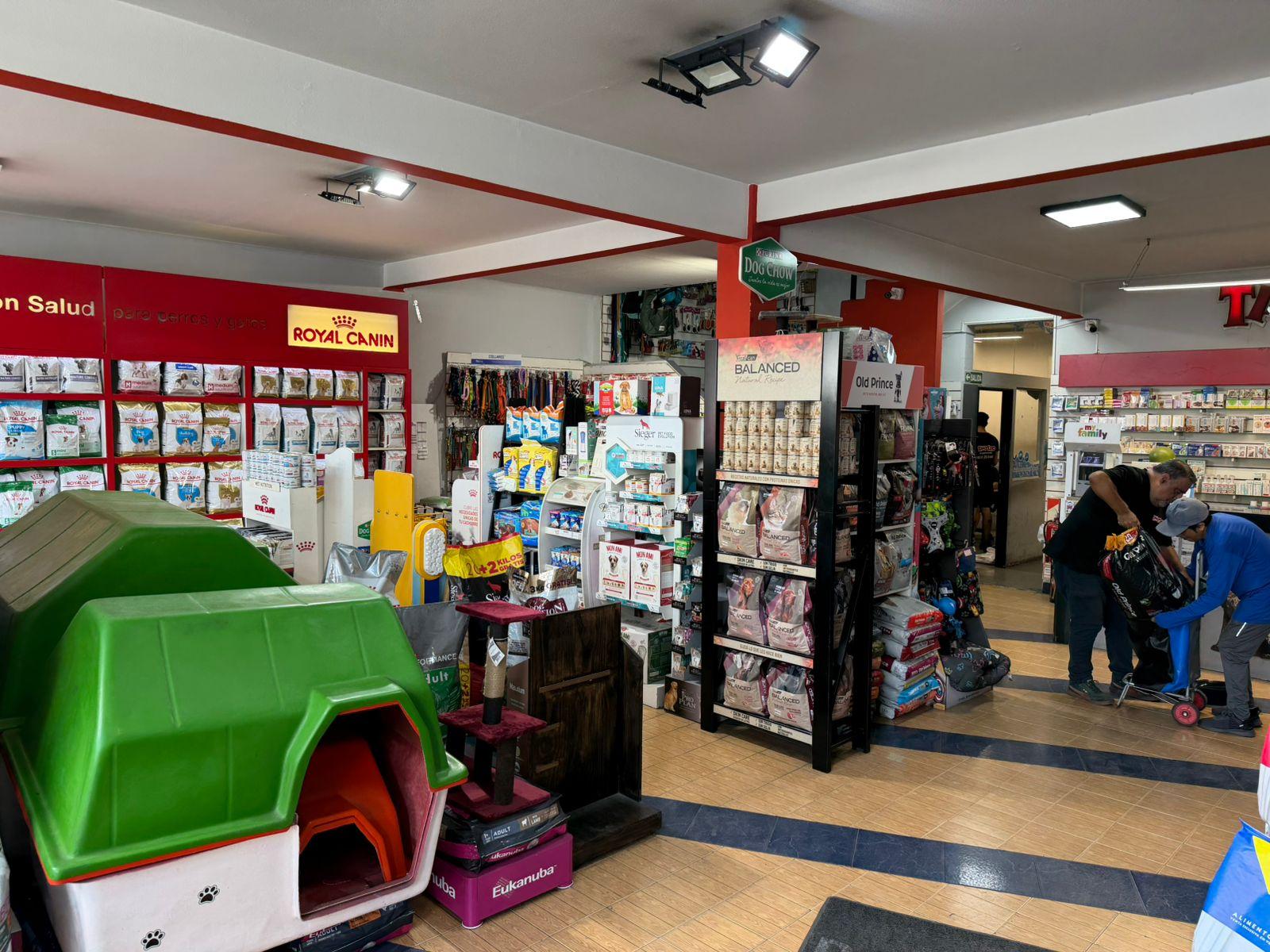 image 3