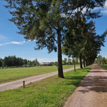 Venta de Terreno en  Fincas de San Vicente Sporting - FINANCIADO