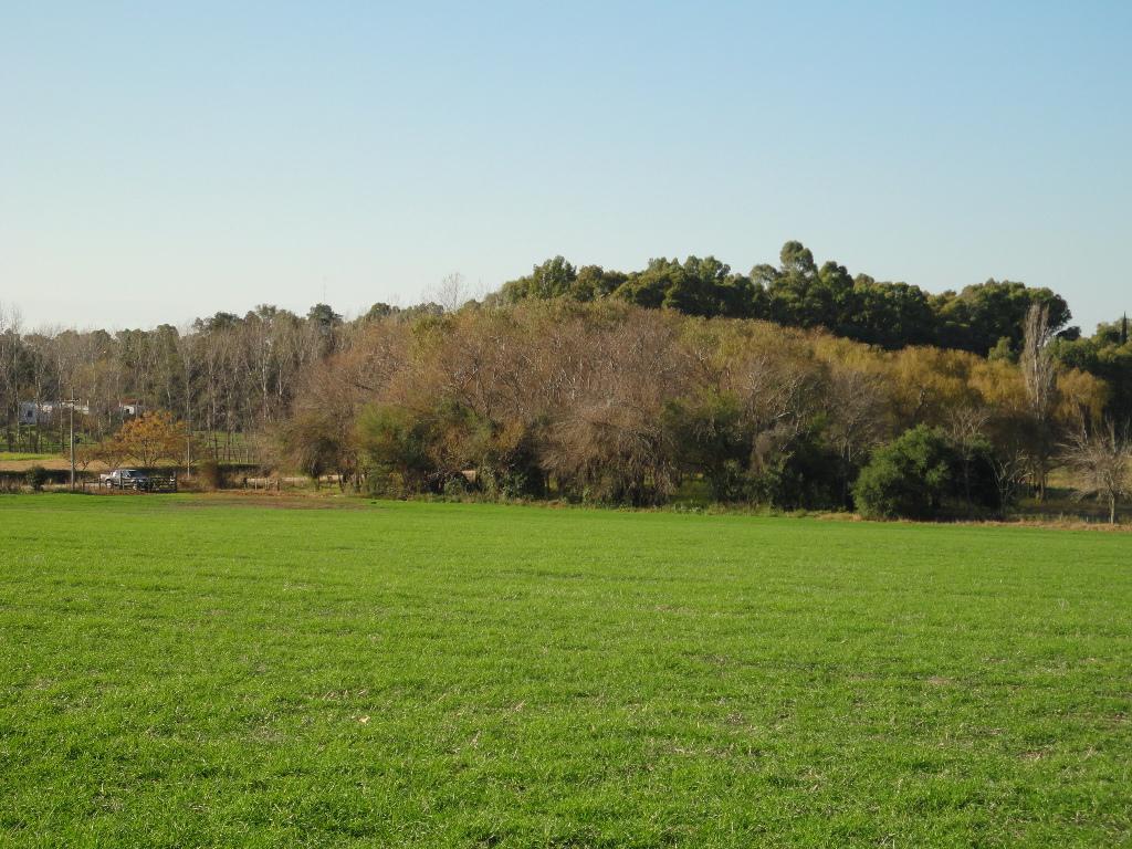 image 14