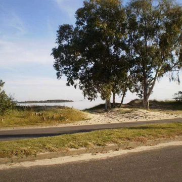 Real de San Carlos Village