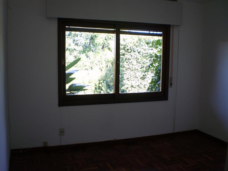 image 33