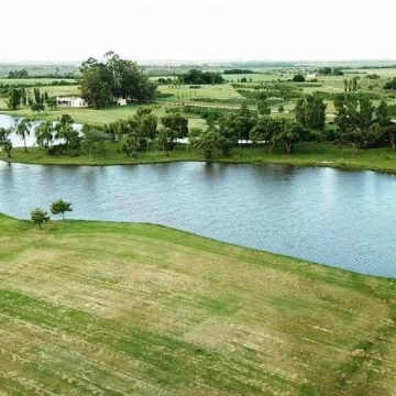 La Concordia - Carmelo   Lote 32