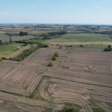 Campo productivo de 8.5 hect en Colonia