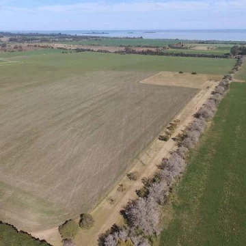 Hermosa chacra(6,7 has) con vista al Rio de la Plata