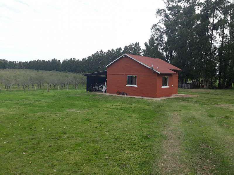 image 28