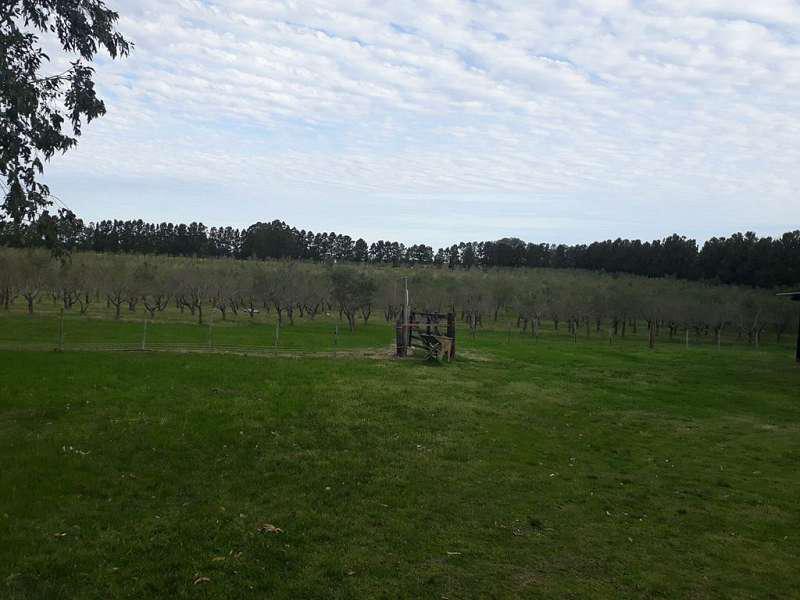 image 29