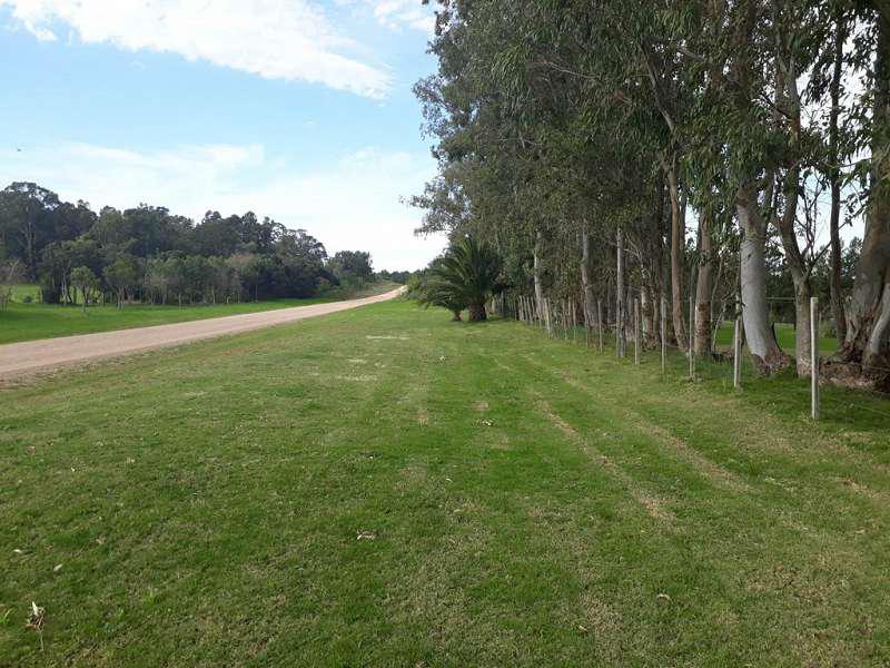 image 31