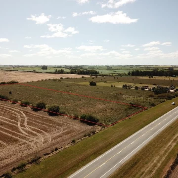 Colonia- 1 ha. Ruta 1 / Radial Santa Ana