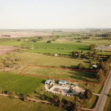 1 - Colonia- Ruta 21 km 183 - 1 ha.