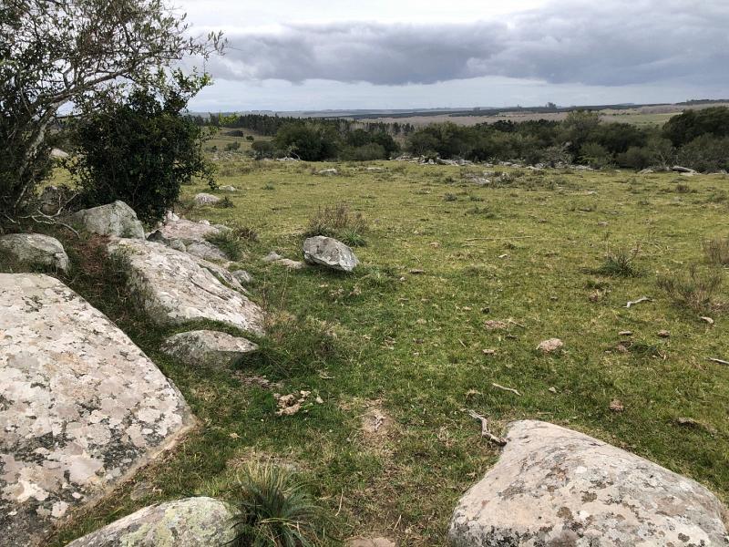 image 14