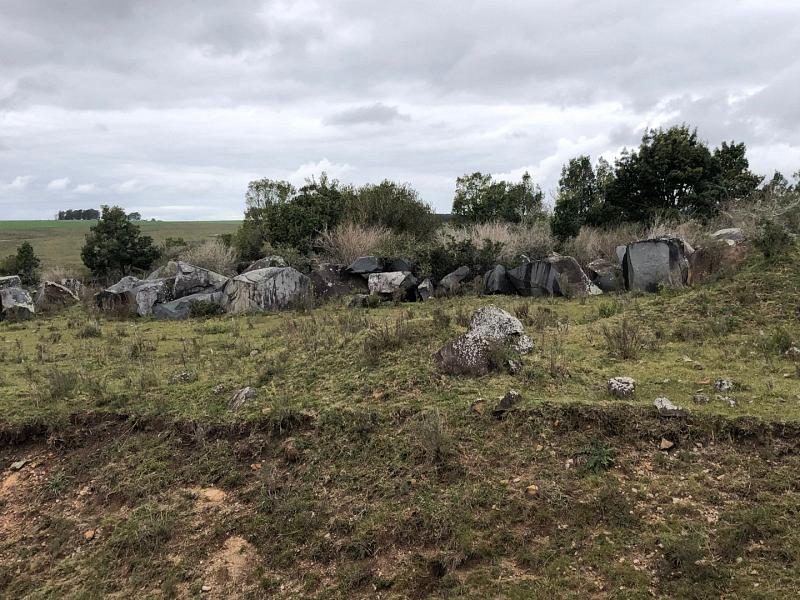 image 23
