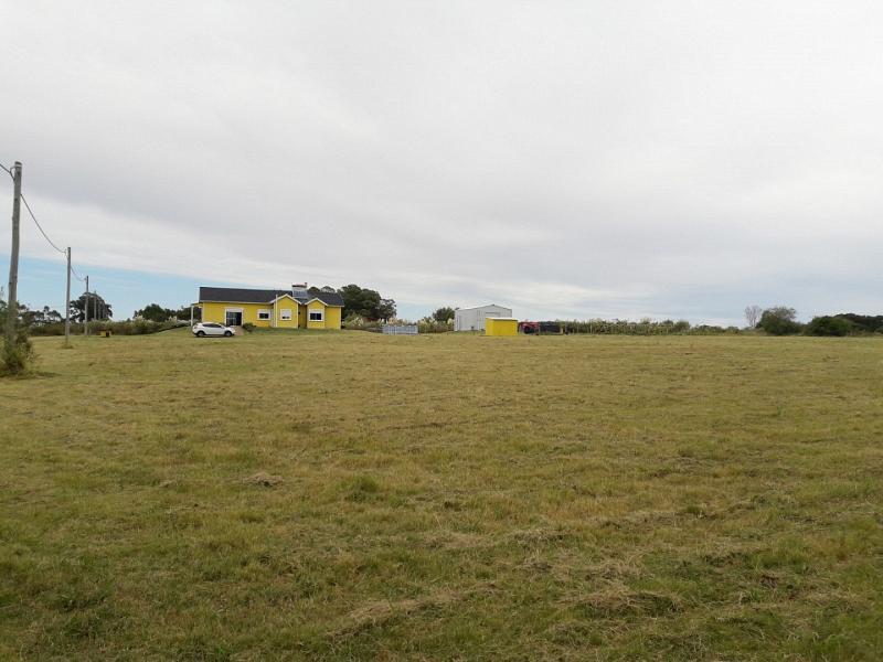 image 24