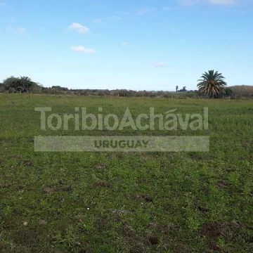 La Estanzuela - 4881 m2