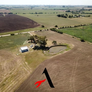 Venta Chacra Colonia Cosmopolita, 13,7 has, Colonia