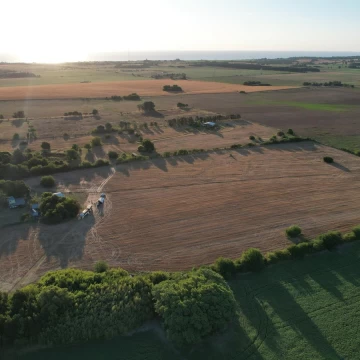 Chacra productiva 8 ha con casa y galpones – Colonia