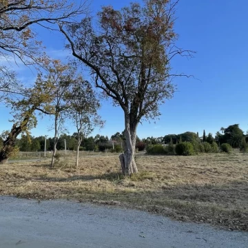 Parque Jousten - Bahia de Colonia