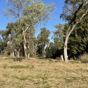 Parque Jousten - Manzana D Lote 26