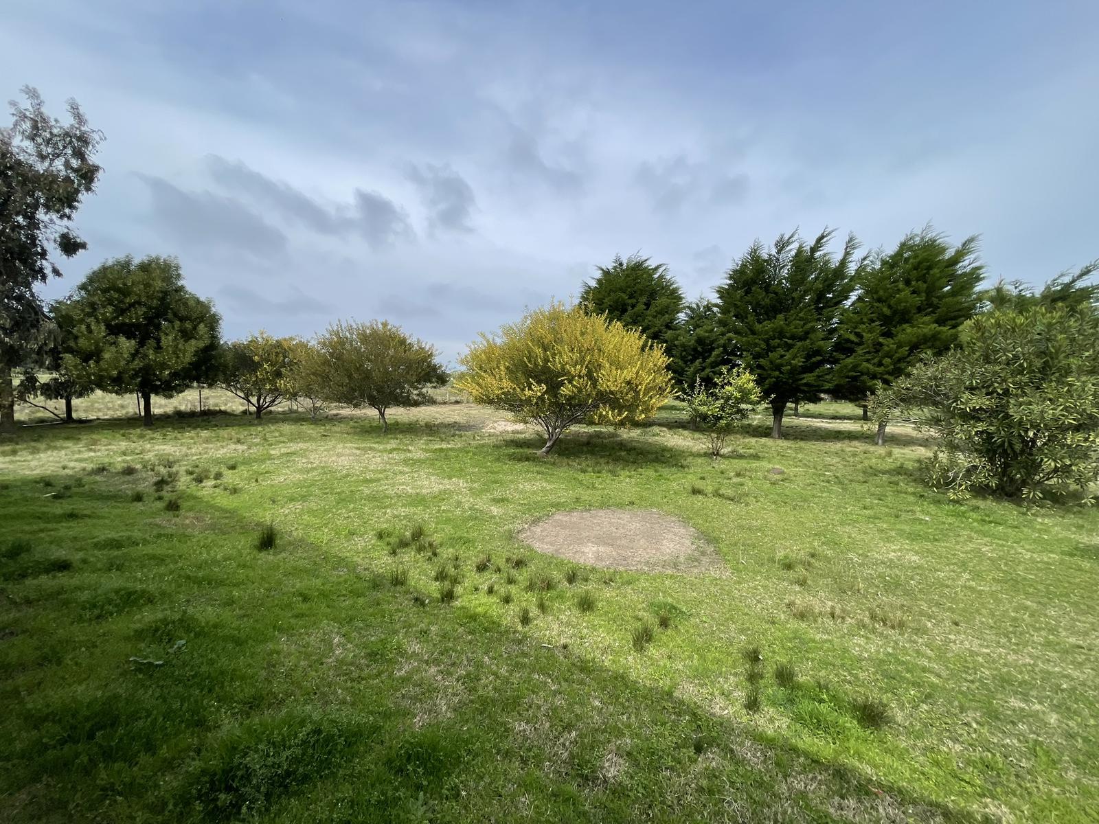 image 25