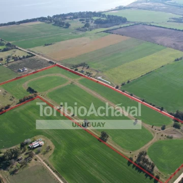 Excelente chacra de 14 has. en San Pedro, importantes mejoras y próxima a la playa