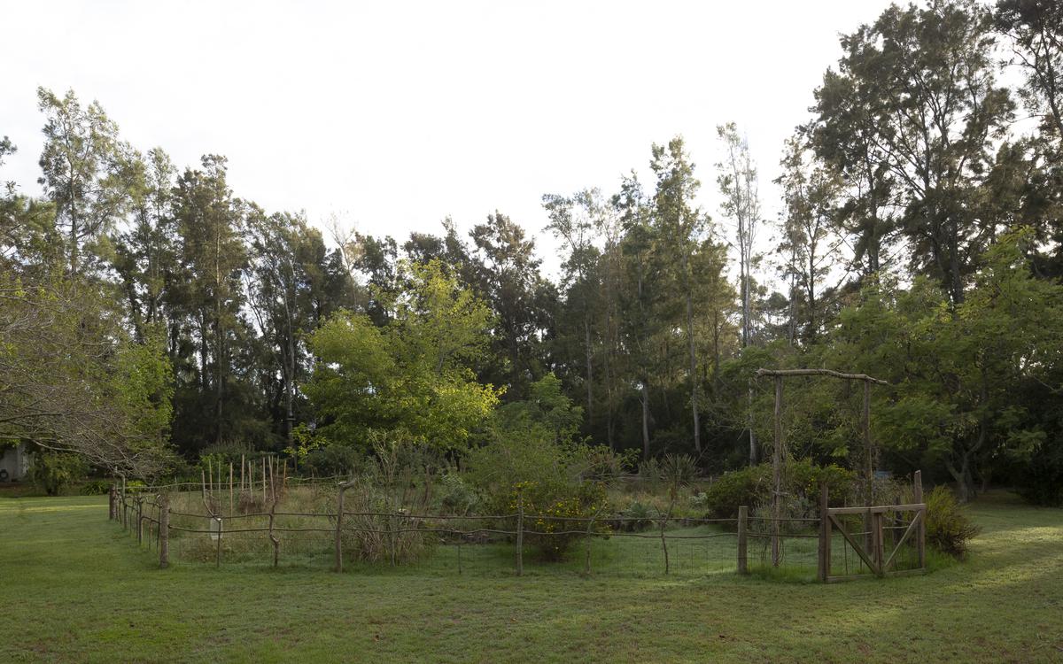 image 34