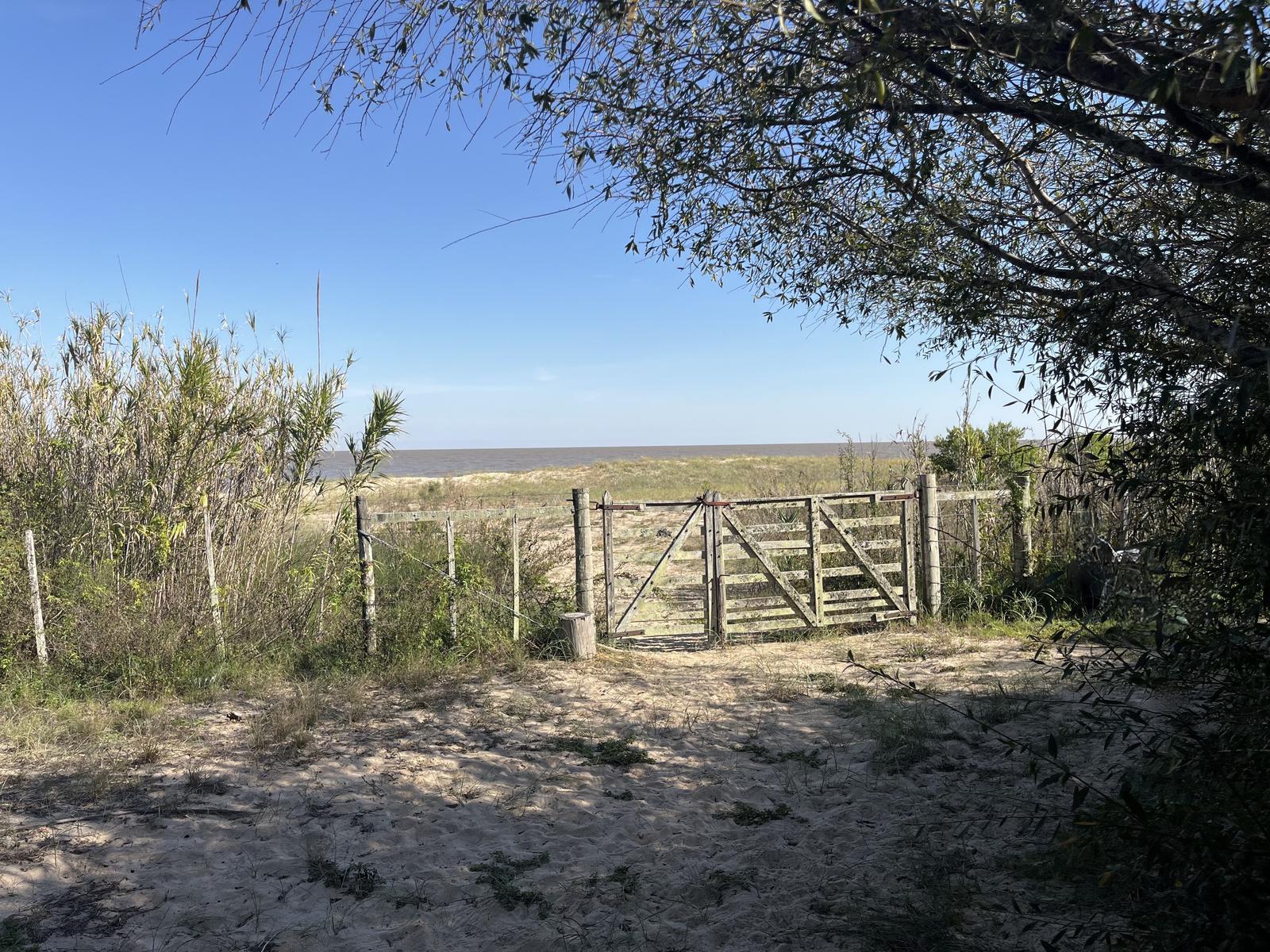 image 37