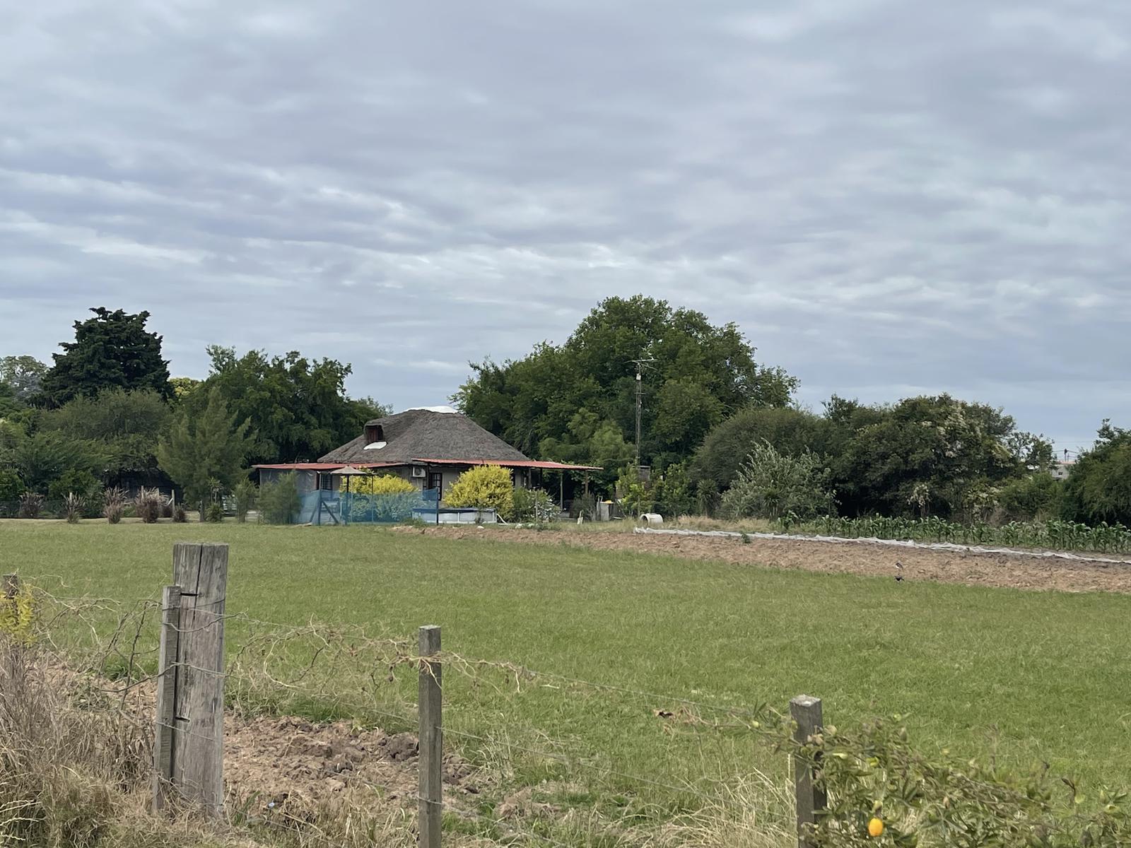 image 24