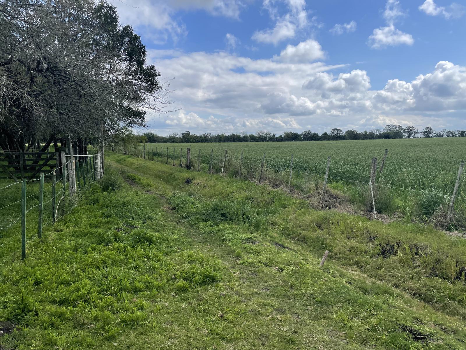 image 38