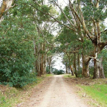El Ensueño - Balneario Santa Ana  Lote 10 MH