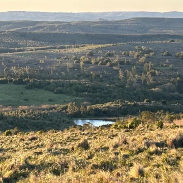 Venta de pintoresca chacra de 5 has. en las Sierras de Rocha