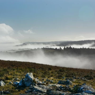 Venta de pintoresca chacra de 5 has. en las Sierras de Rocha