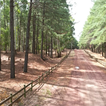 Chacra en exclusivo barrio Pinares del Hotel (Carmelo)