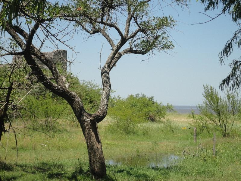 image 23